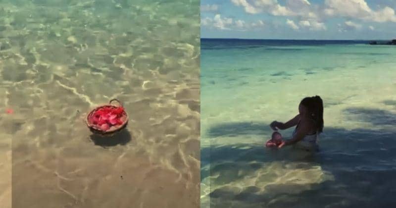 Instagram.com/oceanbirthmom